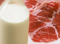Коллекция собственных продуктов ООО «ВТР» пополнилась новыми продуктами